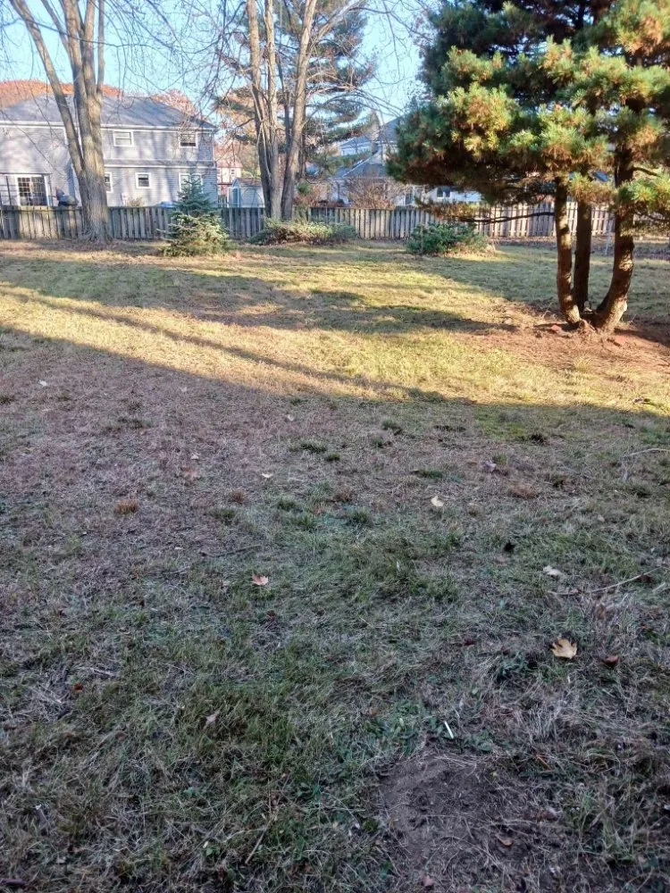 Custom outdoor landscaping for homes across Lorain, OH - Beauty Landscape and Flower Design