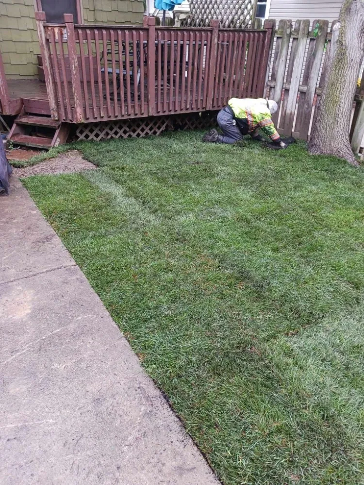 Affordable landscaping services in Lorain, OH by Beauty Landscape and Flower Design