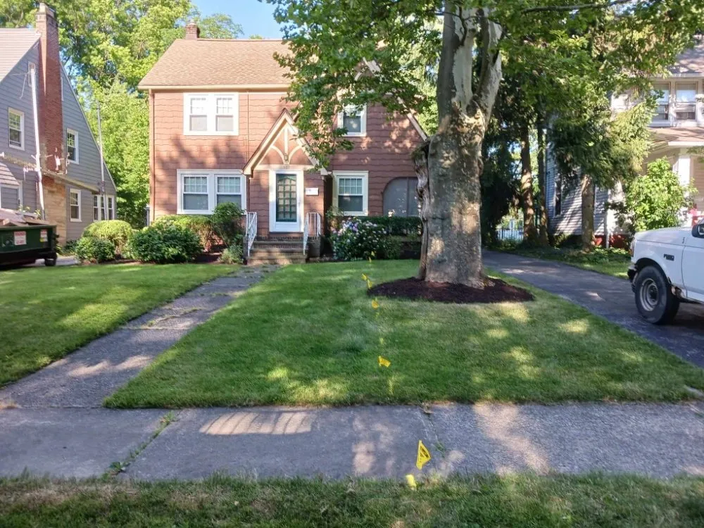 Local landscape design in Lorain, OH by Beauty Landscape and Flower Design