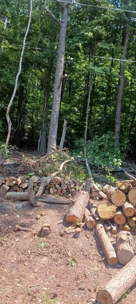 Reliable landscape installation in Ringgold, GA - Beauty N Beast Tree Removal and Landscaping