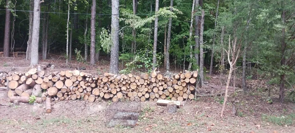 Trusted yard maintenance with custom design across Ringgold, GA - Beauty N Beast Tree Removal and Landscaping