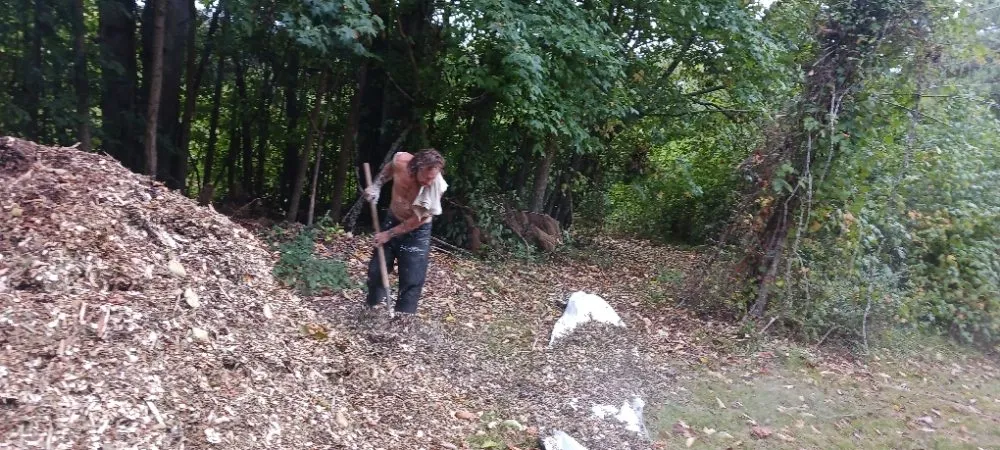 Local landscape installation in Ringgold, GA by Beauty N Beast Tree Removal and Landscaping