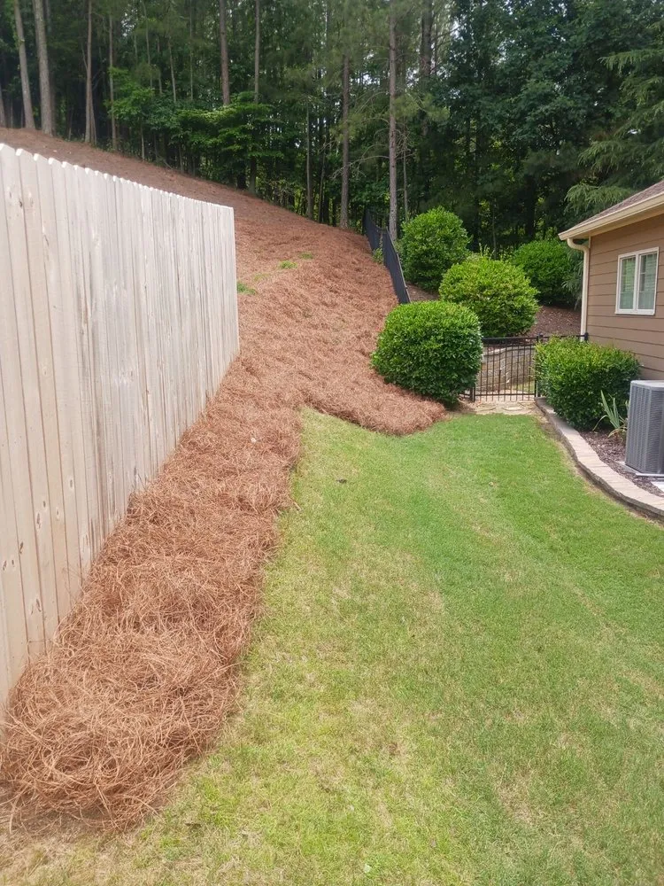 Trusted lawn care service for homes across Dahlonega, GA - Beauty of Nature Landscape