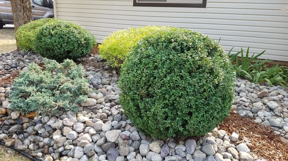 Top-rated yard maintenance for outdoor upgrades in Coeur d'Alene, ID by Beauty Tree And Shrub Service