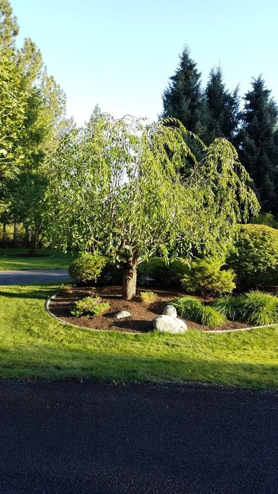 Top-rated landscape installation in Coeur d'Alene, ID - Beauty Tree And Shrub Service