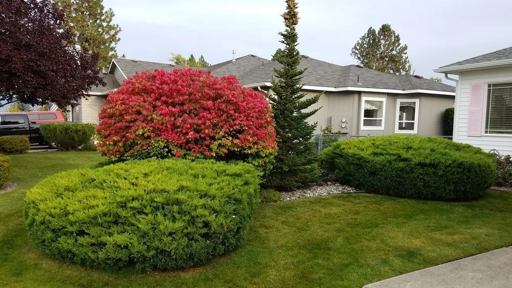 Local yard maintenance in Coeur d'Alene, ID by Beauty Tree And Shrub Service