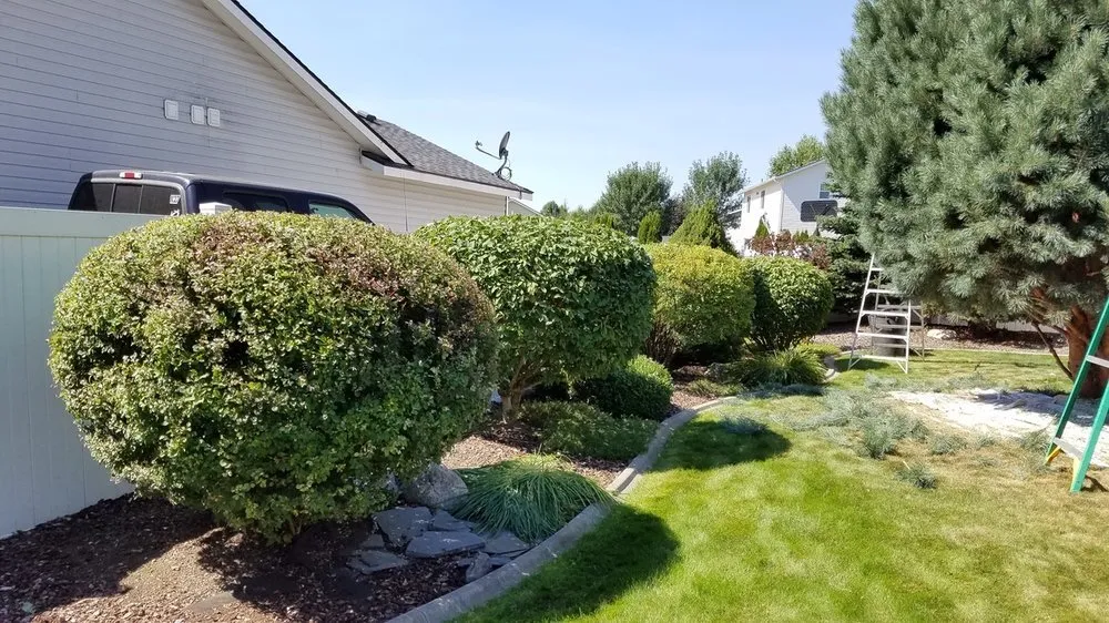 Top-rated yard maintenance for year-round maintenance in Coeur d'Alene, ID by Beauty Tree And Shrub Service