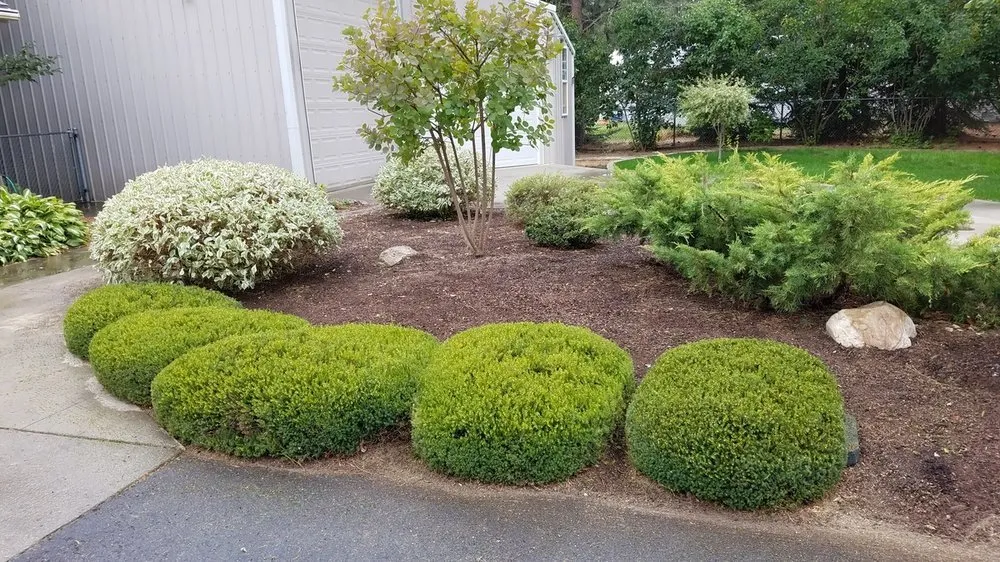 Reliable residential landscaping in Coeur d'Alene, ID - Beauty Tree And Shrub Service