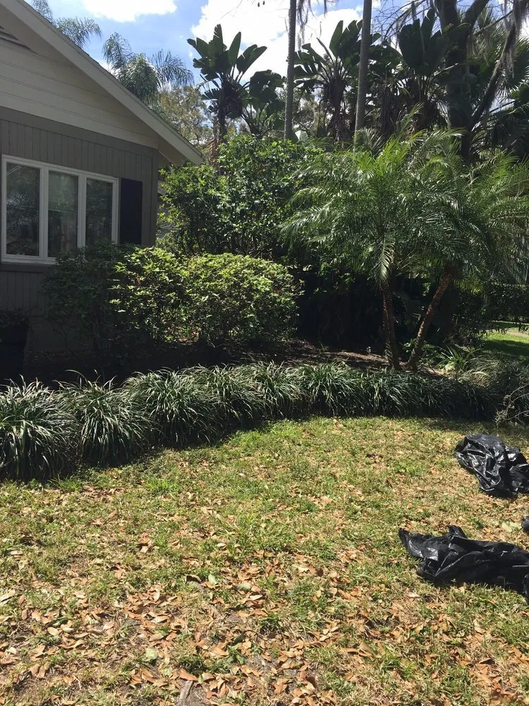 Expert yard cleanup service for outdoor upgrades in Coeur d'Alene, ID by Beauty Tree And Shrub Service