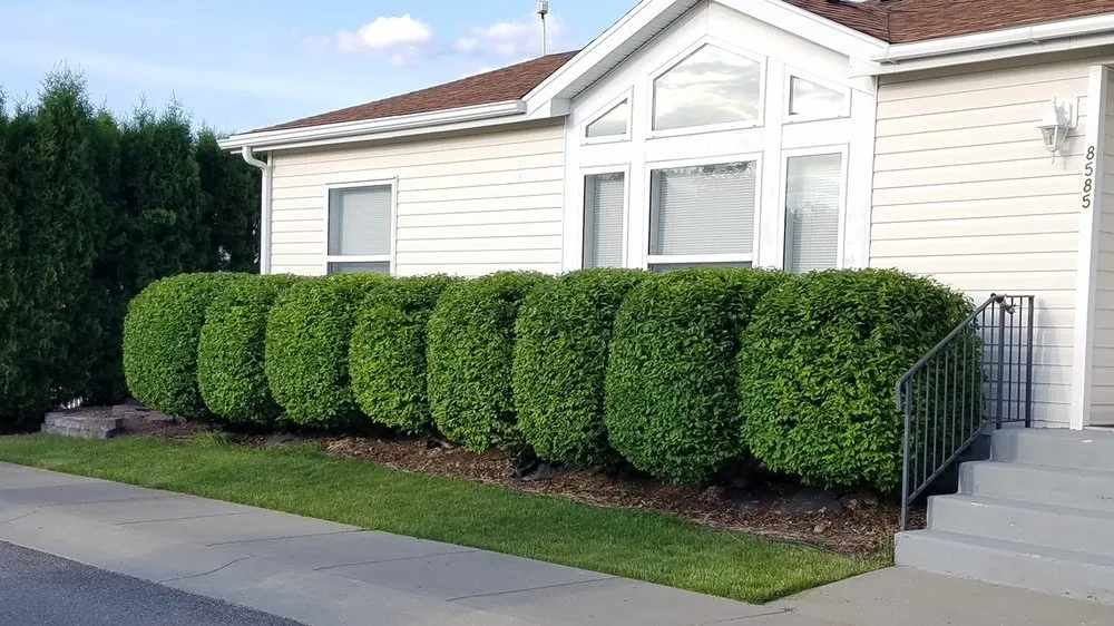 Local garden landscaping in Coeur d'Alene, ID by Beauty Tree And Shrub Service