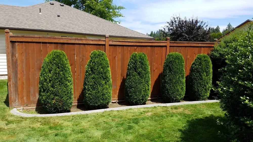 Expert lawn mowing service for homes across Coeur d'Alene, ID - Beauty Tree And Shrub Service