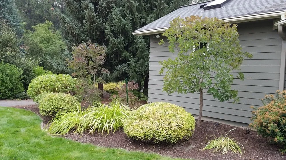 Affordable landscape installation in Coeur d'Alene, ID by Beauty Tree And Shrub Service