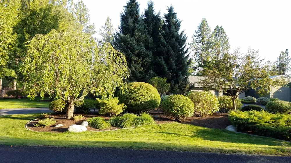 Reliable yard cleanup service with custom design across Orlando, FL - Beauty Tree And Shrub Service