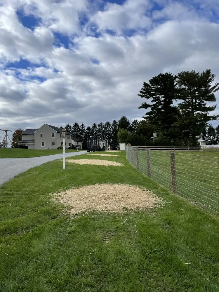 Local yard cleanup service for year-round maintenance across Lancaster, PA - Beauty View Landscaping