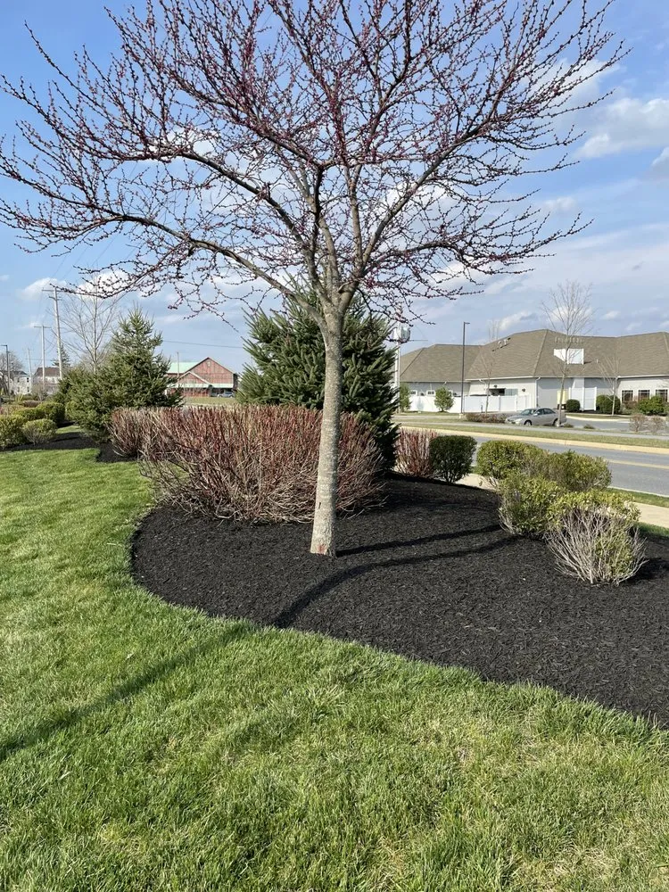 Local landscape installation in Lancaster, PA by Beauty View Landscaping