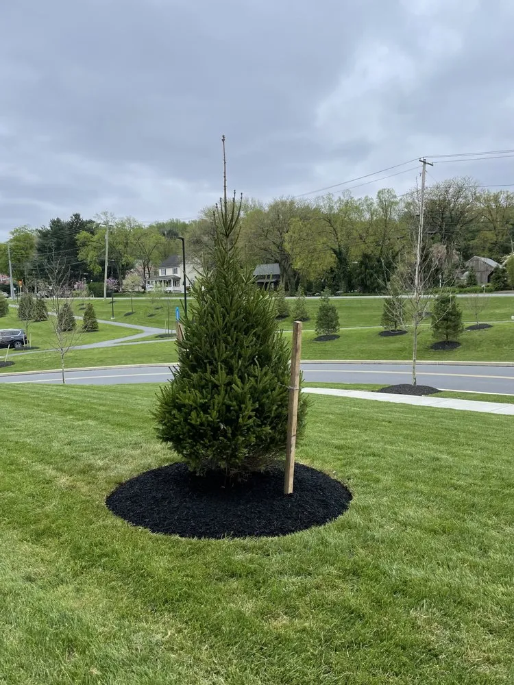 Local residential landscaping in Lancaster, PA by Beauty View Landscaping