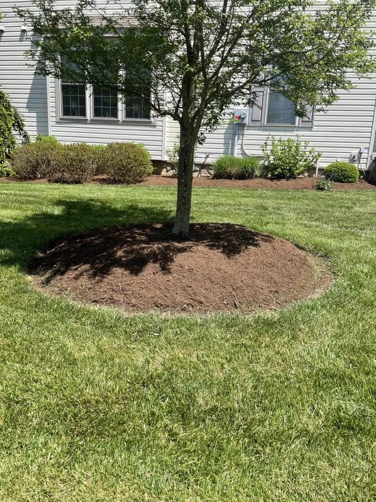 Professional lawn mowing service experts serving Lancaster, PA - Beauty View Landscaping