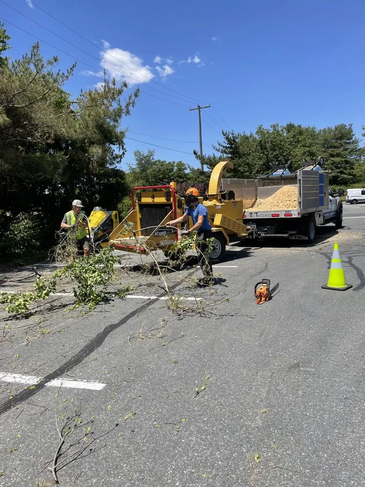 Affordable landscape installation in Lancaster, PA by Beauty View Landscaping