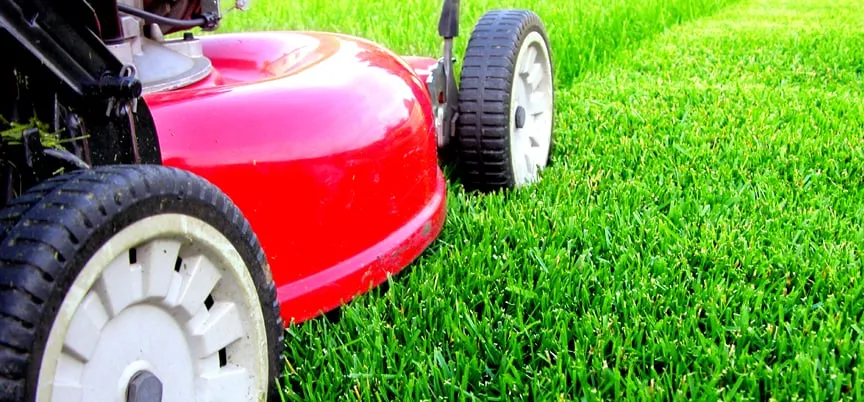 Local landscaping services in Birmingham, AL by BeautyClean