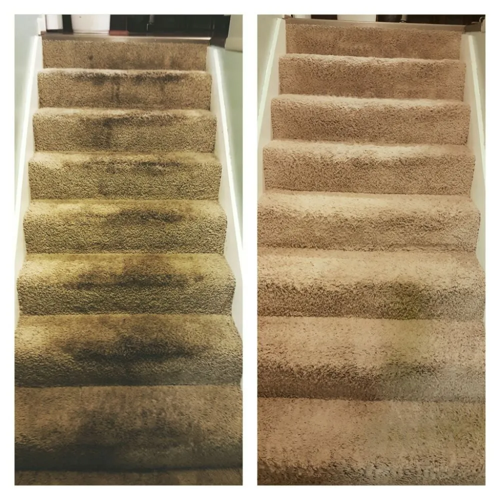 Expert yard cleanup service in Birmingham, AL - BeautyClean