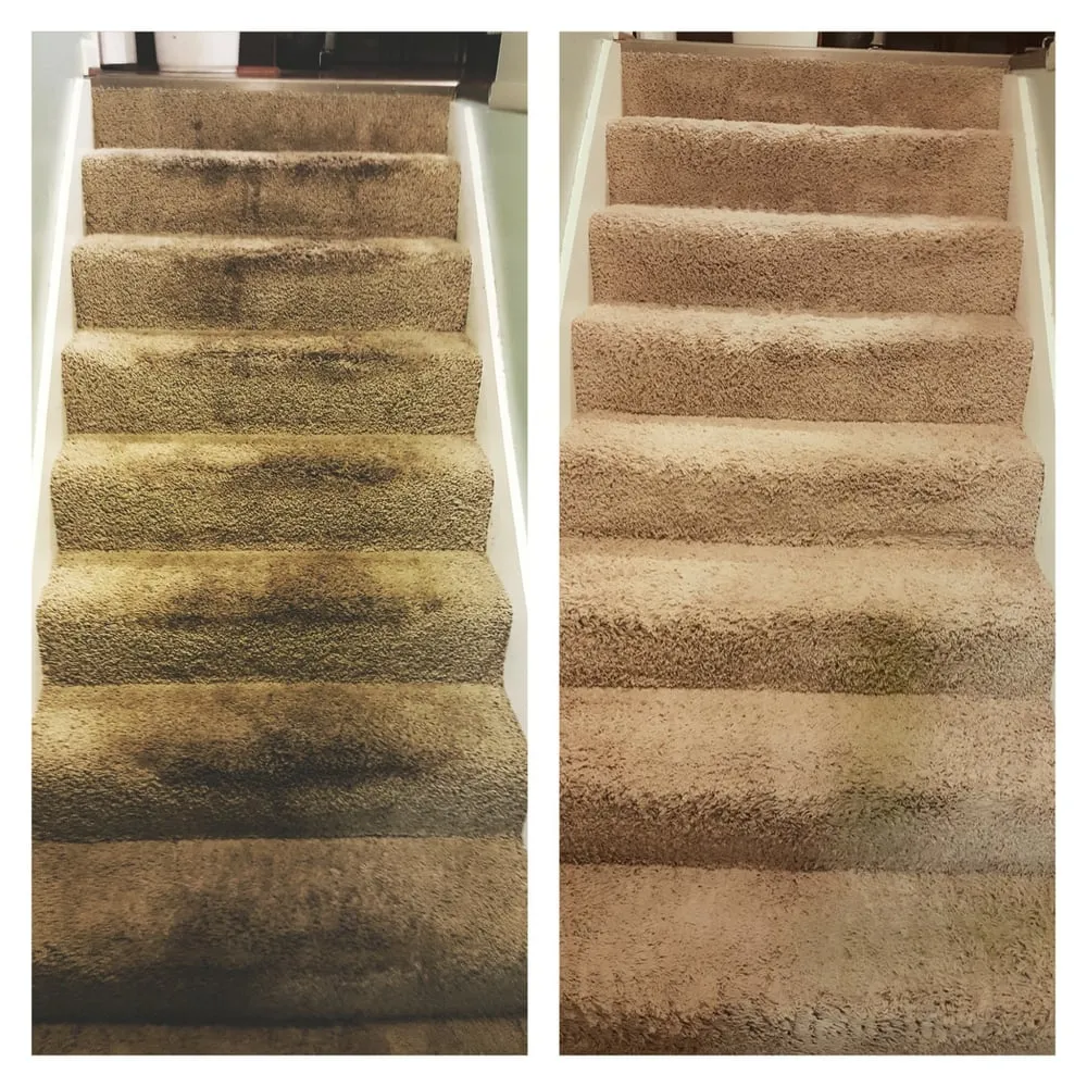 Professional landscape design for year-round maintenance in Birmingham, AL by BeautyClean