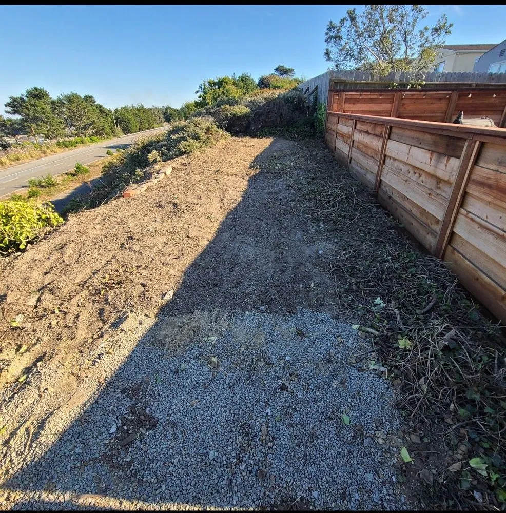 Trusted yard cleanup service experts serving Kentfield, CA - Beautyland Landscaping Pro