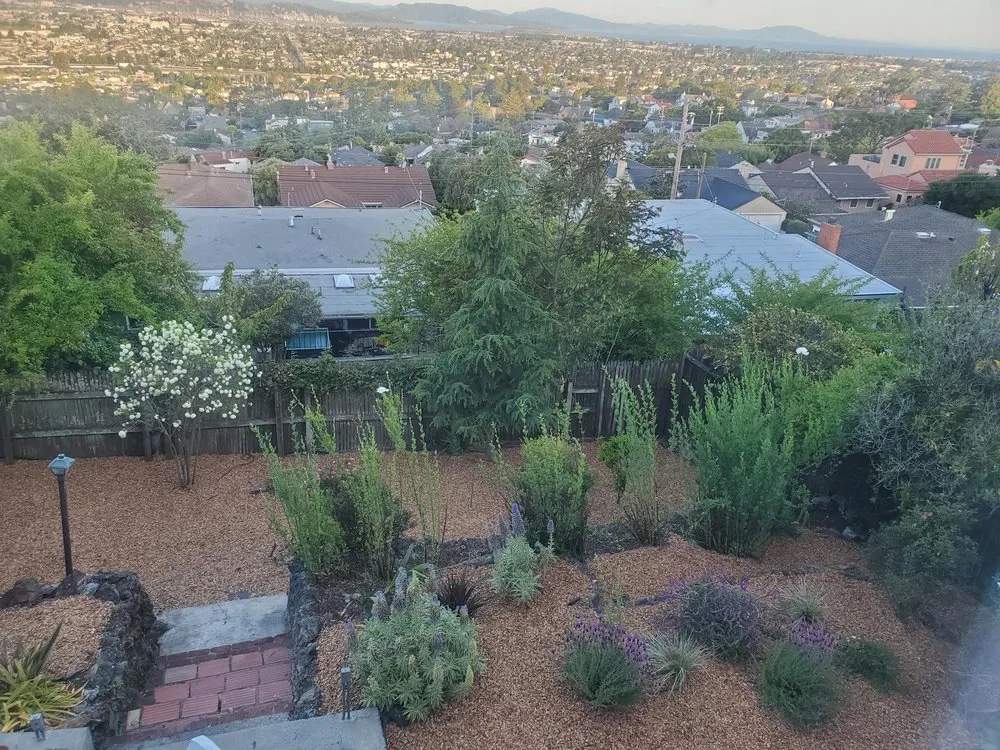 Professional landscape installation with custom design across Kentfield, CA - Beautyland Landscaping Pro