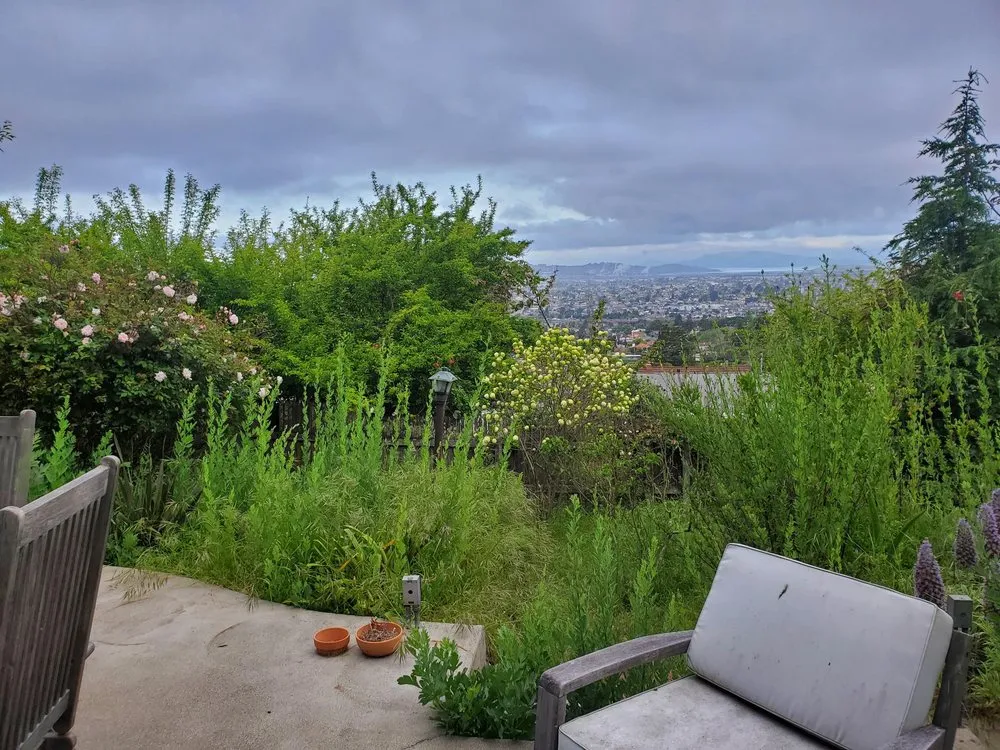 Affordable lawn care service with custom design across Kentfield, CA - Beautyland Landscaping Pro