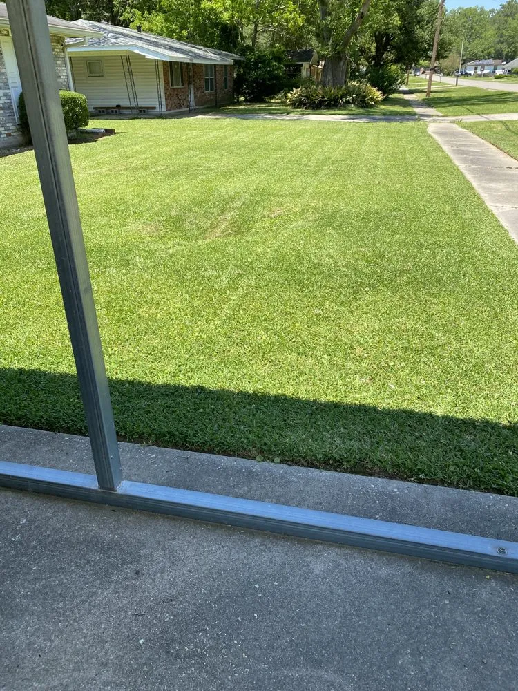 Trusted yard cleanup service in Baton Rouge, LA - Beauxque of Baton Rouge