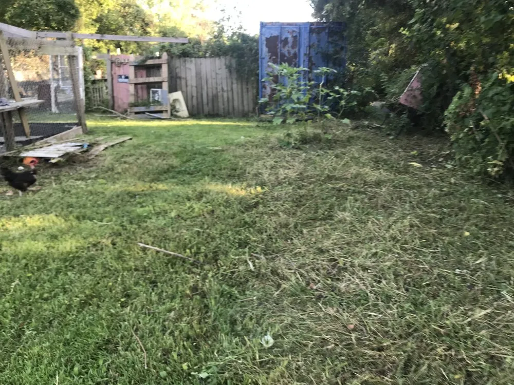 Reliable landscape installation in Baton Rouge, LA - Beauxque of Baton Rouge