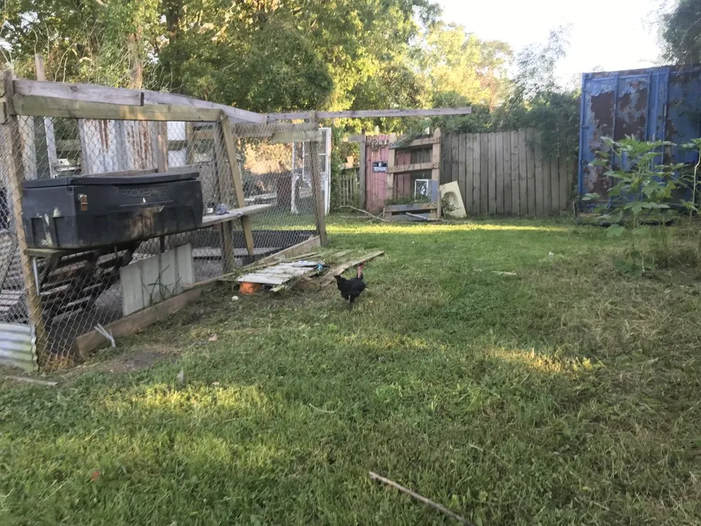 Reliable landscape installation experts serving Baton Rouge, LA - Beauxque of Baton Rouge