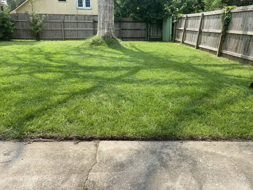 Affordable yard cleanup service in Baton Rouge, LA - Beauxque of Baton Rouge
