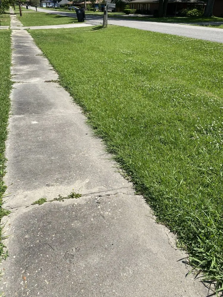 Top-rated landscape design for homes across Baton Rouge, LA - Beauxque of Baton Rouge