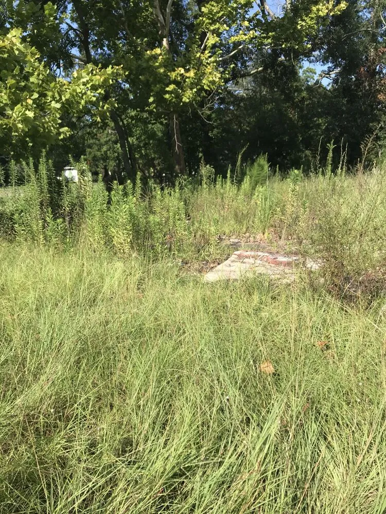 Expert residential landscaping experts serving Baton Rouge, LA - Beauxque of Baton Rouge