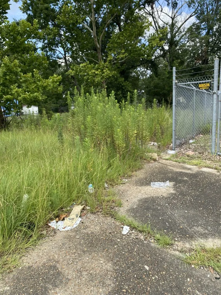 Top-rated landscape installation experts serving Baton Rouge, LA - Beauxque of Baton Rouge