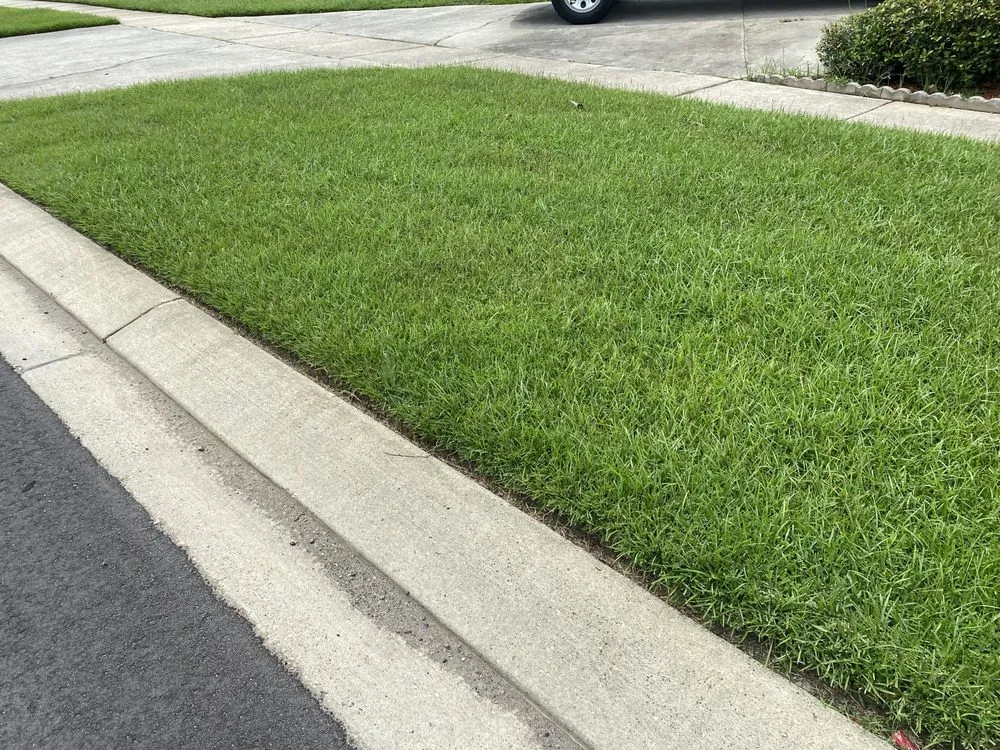 Professional residential landscaping for beautiful yards across Baton Rouge, LA - Beauxque of Baton Rouge