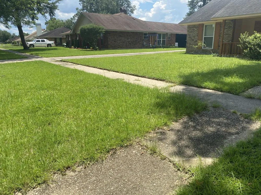 Top-rated residential landscaping experts serving Baton Rouge, LA - Beauxque of Baton Rouge