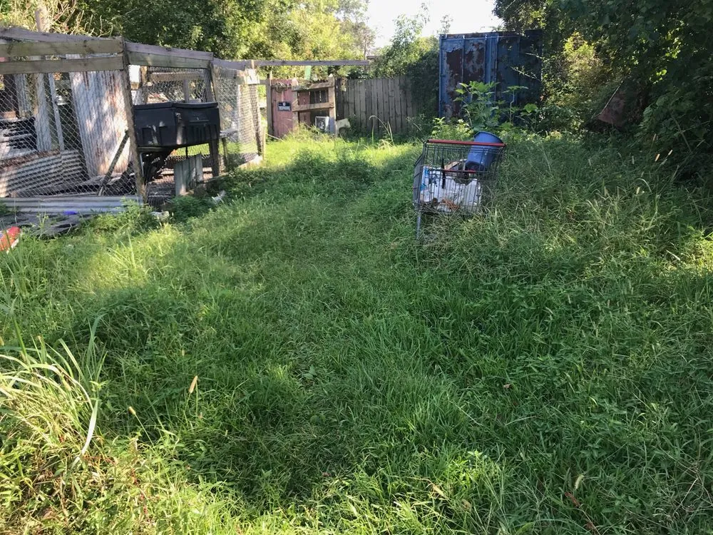 Trusted landscape installation with custom design across Baton Rouge, LA - Beauxque of Baton Rouge