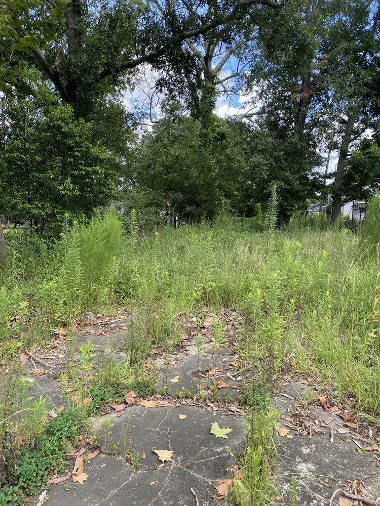 Custom lawn mowing service in Baton Rouge, LA by Beauxque of Baton Rouge