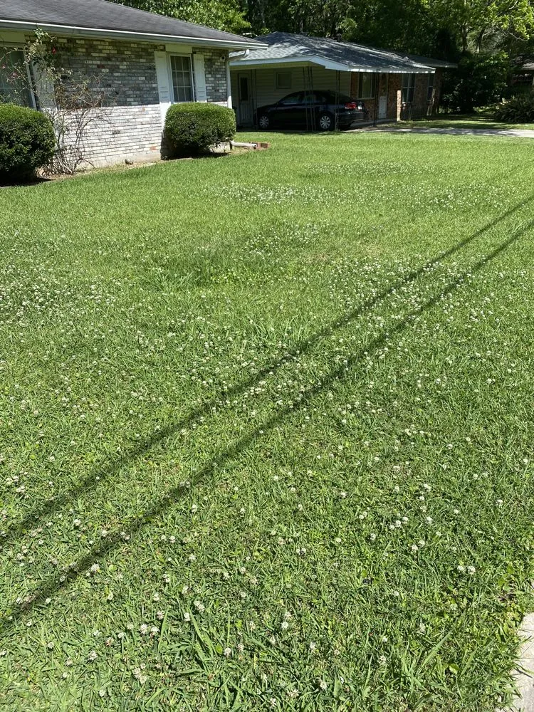 Top-rated outdoor landscaping near you in Baton Rouge, LA by Beauxque of Baton Rouge