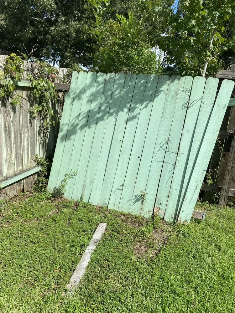 Top-rated yard cleanup service experts serving Baton Rouge, LA - Beauxque of Baton Rouge