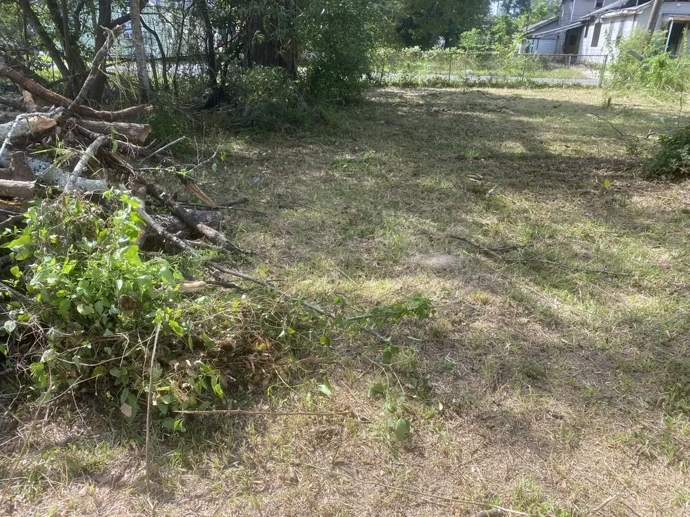 Expert lawn care service in Baton Rouge, LA by Beauxque of Baton Rouge