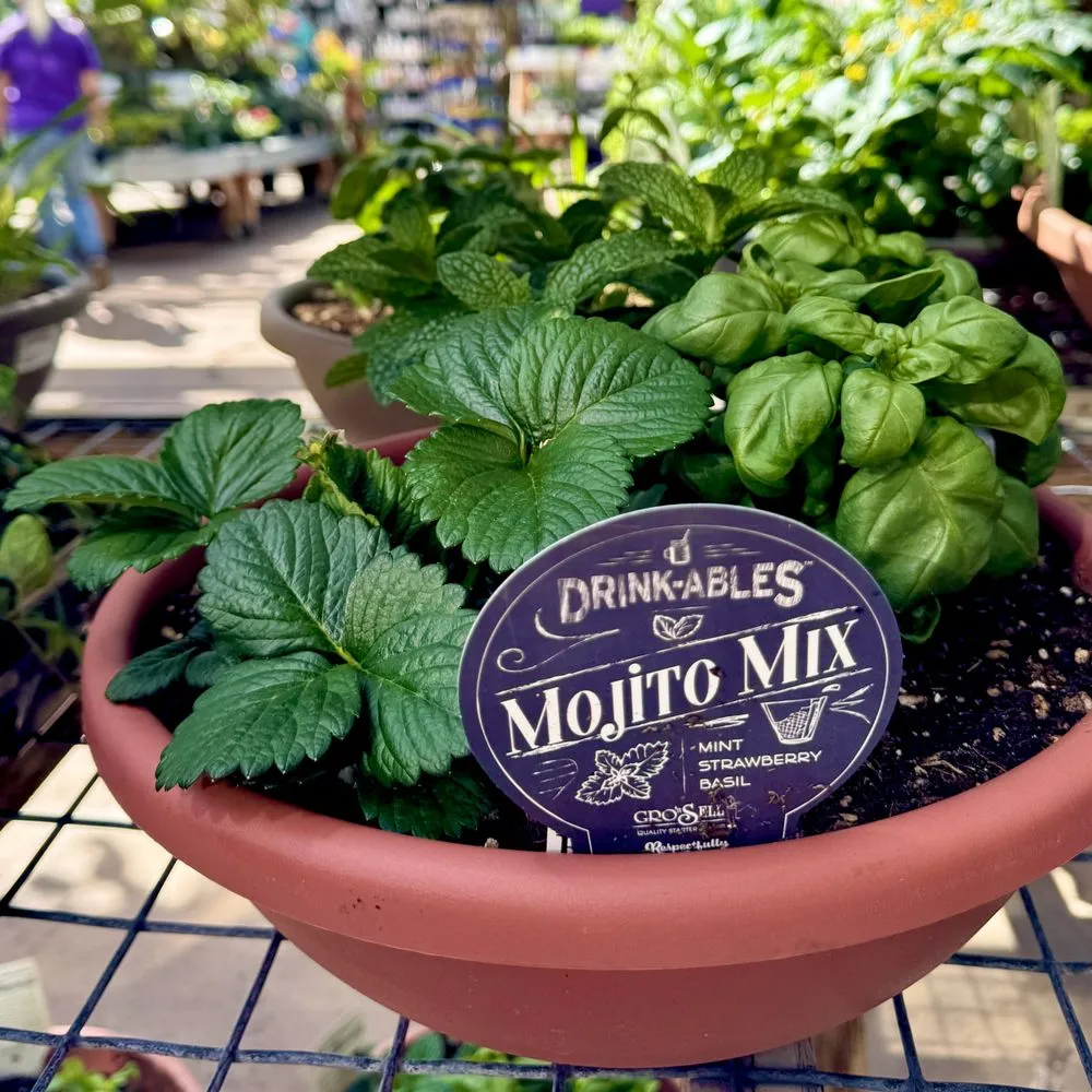 Custom garden landscaping for beautiful yards across Richland, WA - Beaver Bark Gift & Garden Center