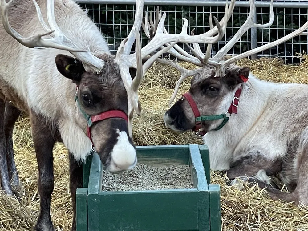 Local landscape design experts serving Richland, WA - Beaver Bark Gift & Garden Center