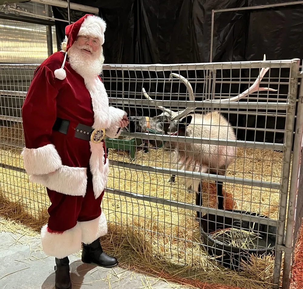 Top-rated outdoor landscaping in Richland, WA by Beaver Bark Gift & Garden Center