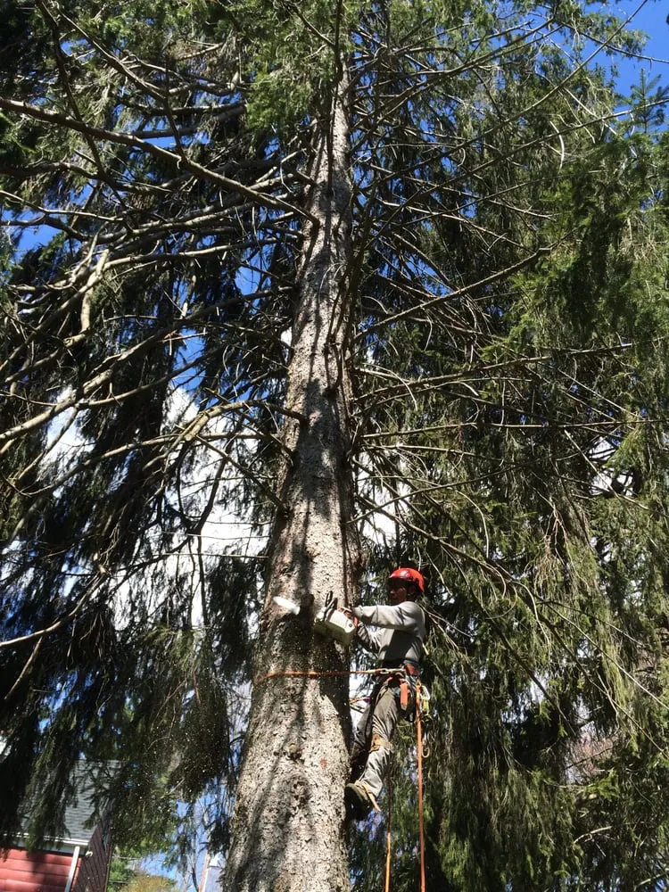 Reliable garden landscaping in Danbury, CT by Beaver Brook Tree Service