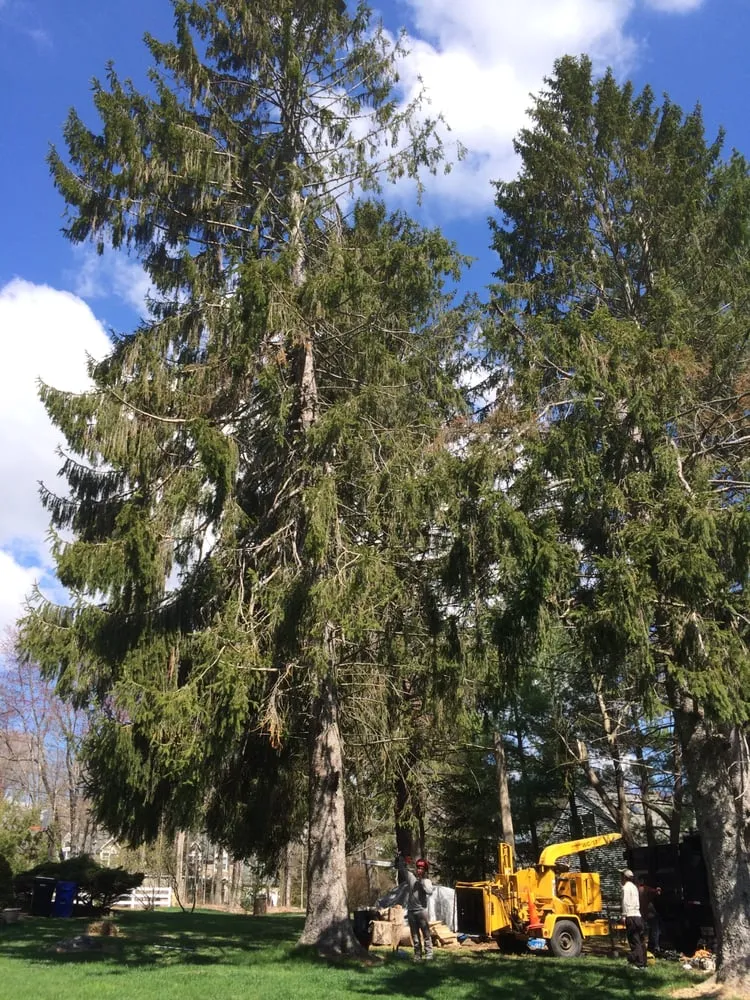 Trusted outdoor landscaping in Danbury, CT - Beaver Brook Tree Service