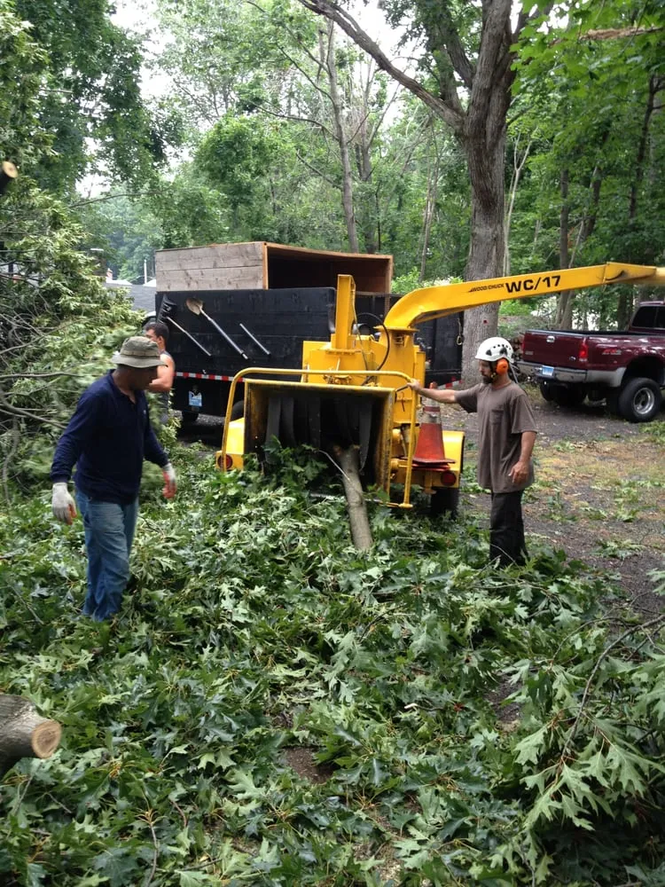 Affordable lawn mowing service in Danbury, CT - Beaver Brook Tree Service