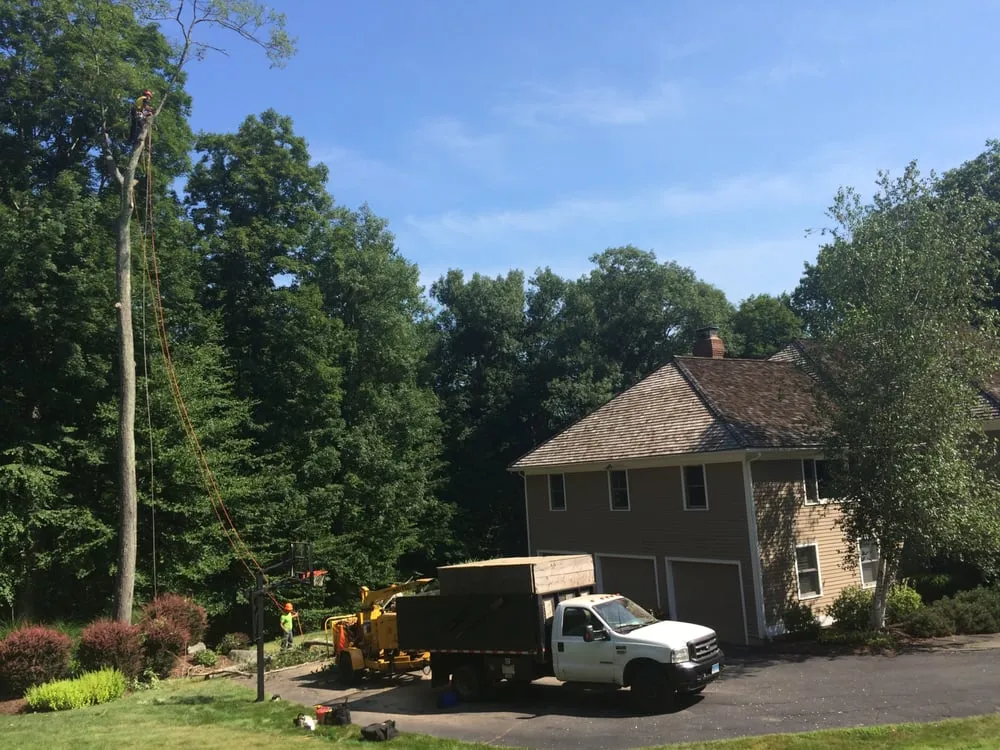 Affordable garden landscaping experts serving Danbury, CT - Beaver Brook Tree Service