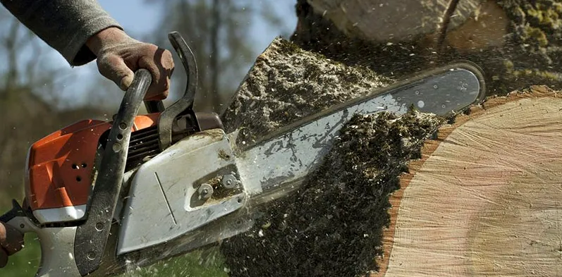 Top-rated lawn care service for outdoor upgrades across Danbury, CT - Beaver Brook Tree Service